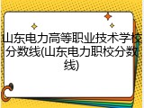 山东电力高等职业技术学校分数线(山东电力职校分数线)