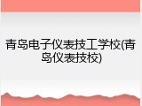 青岛电子仪表技工学校(青岛仪表技校)