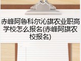 赤峰阿鲁科尔沁旗农业职高学校怎么报名(赤峰阿旗农校报名)