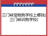 三门峡宠物狗学校上哪找(三门峡训狗学校)