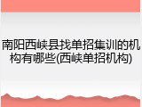 南阳西峡县找单招集训的机构有哪些(西峡单招机构)