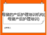 母猪的产后护理培训机构(母猪产后护理培训)