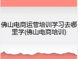 佛山电商运营培训学习去哪里学(佛山电商培训)