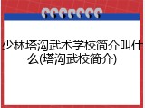 少林塔沟武术学校简介叫什么(塔沟武校简介)