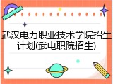 武汉电力职业技术学院招生计划(武电职院招生)