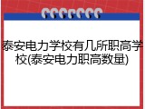泰安电力学校有几所职高学校(泰安电力职高数量)
