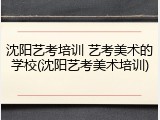 沈阳艺考培训 艺考美术的学校(沈阳艺考美术培训)