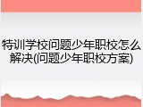 特训学校问题少年职校怎么解决(问题少年职校方案)