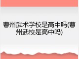 曹州武术学校是高中吗(曹州武校是高中吗)