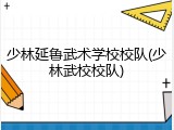 少林延鲁武术学校校队(少林武校校队)