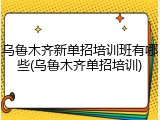 乌鲁木齐新单招培训班有哪些(乌鲁木齐单招培训)