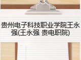贵州电子科技职业学院王永强(王永强 贵电职院)