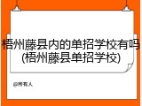 梧州藤县内的单招学校有吗(梧州藤县单招学校)