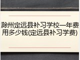 滁州定远县补习学校一年费用多少钱(定远县补习学费)