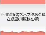 四川省服装艺术学校怎么样在哪里(川服校在哪)