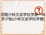 河南少林文武学校学费一年多少钱(少林文武学校学费)