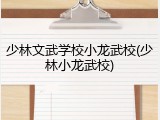 少林文武学校小龙武校(少林小龙武校)