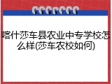 喀什莎车县农业中专学校怎么样(莎车农校如何)