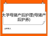 大学母猪产后护理(母猪产后护养)