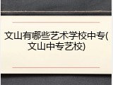 文山有哪些艺术学校中专(文山中专艺校)