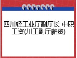 四川轻工业厅副厅长 中职工资(川工副厅薪资)