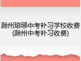 滁州琅琊中考补习学校收费(滁州中考补习收费)