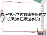 宿迁技术学校有哪些叛逆学校呢(宿迁叛逆学校)