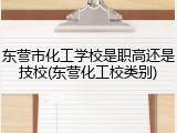 东营市化工学校是职高还是技校(东营化工校类别)