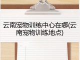 云南宠物训练中心在哪(云南宠物训练地点)