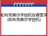 和布克赛尔学挖机在哪里学(和布克赛尔学挖机)