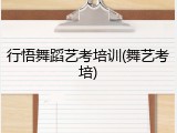 行悟舞蹈艺考培训(舞艺考培)
