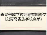 青岛贵族学校到底有哪些学校(青岛贵族学校名单)