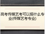 高考传媒艺考可以报什么专业(传媒艺考专业)