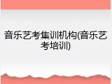 音乐艺考集训机构(音乐艺考培训)