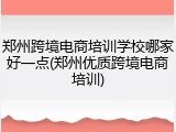 郑州跨境电商培训学校哪家好一点(郑州优质跨境电商培训)