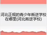 河北正规的青少年叛逆学校在哪里(河北叛逆学校)
