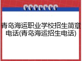 青岛海运职业学校招生简章电话(青岛海运招生电话)