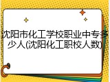 沈阳市化工学校职业中专多少人(沈阳化工职校人数)