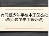 有问题少年学校中职怎么处理(问题少年中职处理)