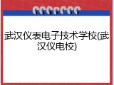 武汉仪表电子技术学校(武汉仪电校)
