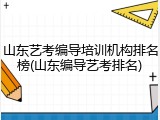 山东艺考编导培训机构排名榜(山东编导艺考排名)