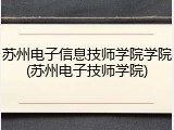 苏州电子信息技师学院学院(苏州电子技师学院)
