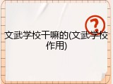 文武学校干嘛的(文武学校作用)