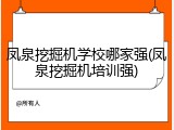 凤泉挖掘机学校哪家强(凤泉挖掘机培训强)