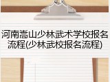 河南嵩山少林武术学校报名流程(少林武校报名流程)