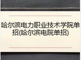 哈尔滨电力职业技术学院单招(哈尔滨电院单招)