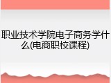 职业技术学院电子商务学什么(电商职校课程)