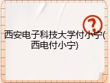 西安电子科技大学付小宁(西电付小宁)