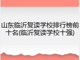 山东临沂复读学校排行榜前十名(临沂复读学校十强)