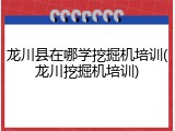 龙川县在哪学挖掘机培训(龙川挖掘机培训)